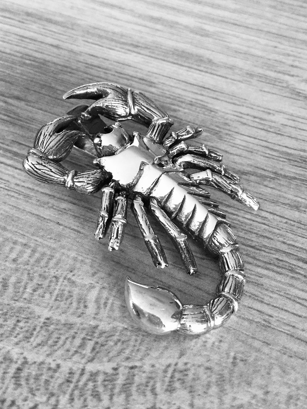 9,3gr přívěsek štíra - scorpion