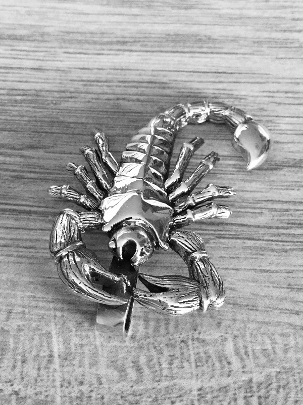 9,3gr přívěsek štíra - scorpion